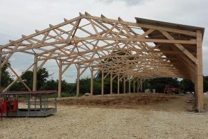 Bâtiment bois en kit en cours de montage