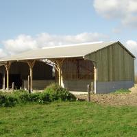 HANGAR BATIMENT BOIS STOCKAGE AVEC AUVENT EN KIT 