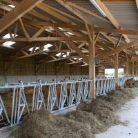 BATIMENT EN KIT BOIS POUR VACHES ALLAITANTES